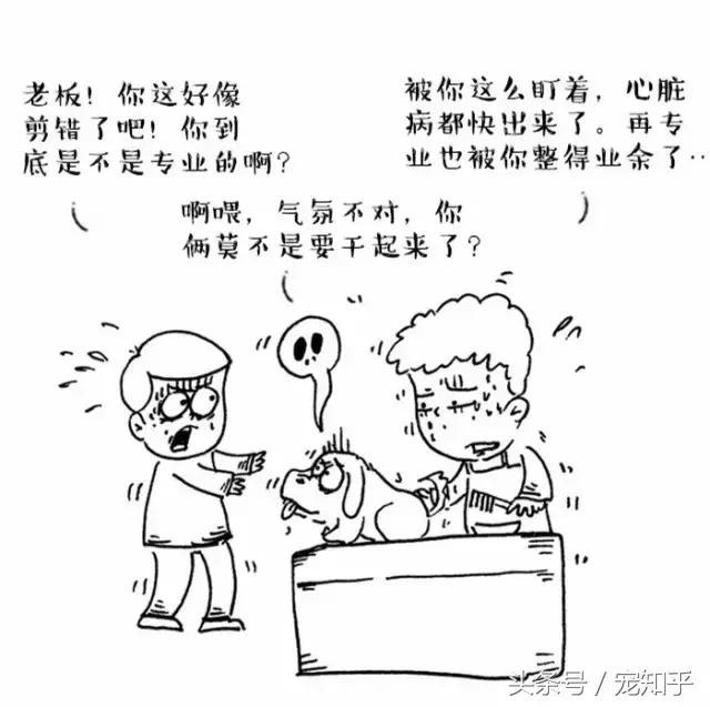 为什么狗总是害怕去宠物店,狗为什么总是害怕进宠物店