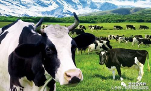 挑选奶粉看哪些配方,选奶粉看配料表还是看营养成分表