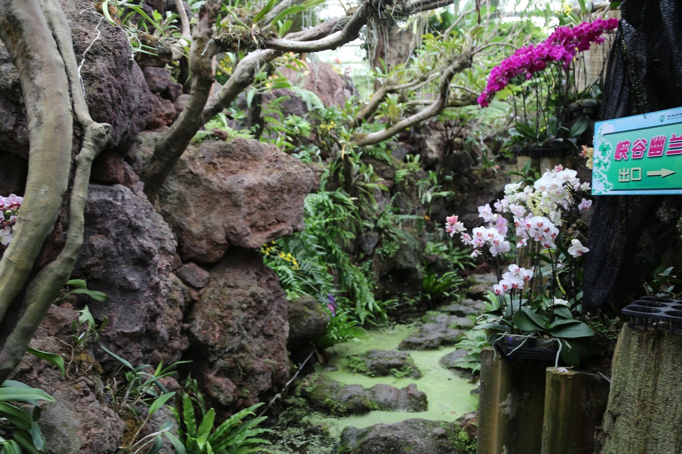 南通滨江公园亲子游,南通洲际绿博园有什么好玩的