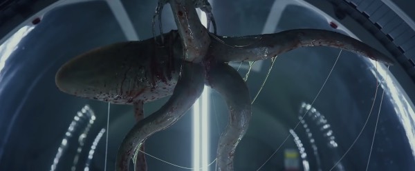 《异形》里的12种异形盘点,异形系列图鉴