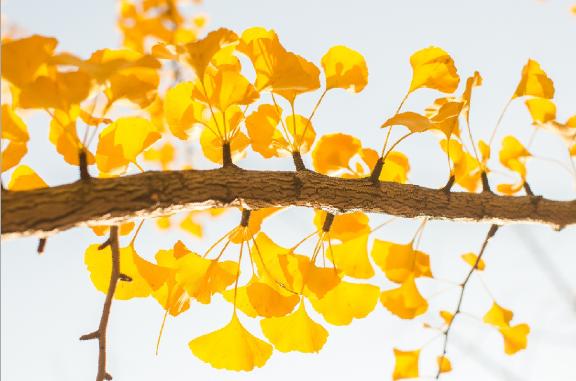 医疗卫生考试实务题,医疗卫生类考试流程
