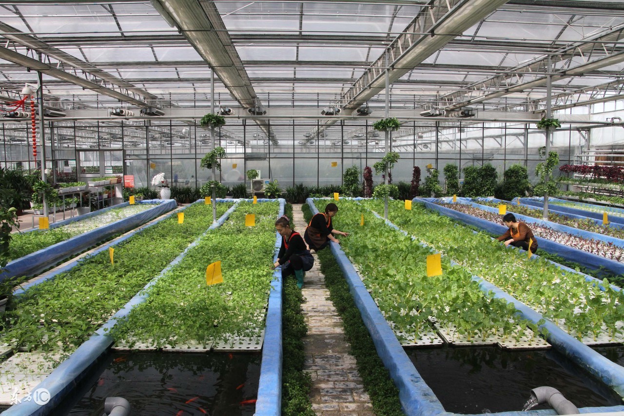 为什么在农村创业的人比较少,为什么越来越多的人都希望去创业