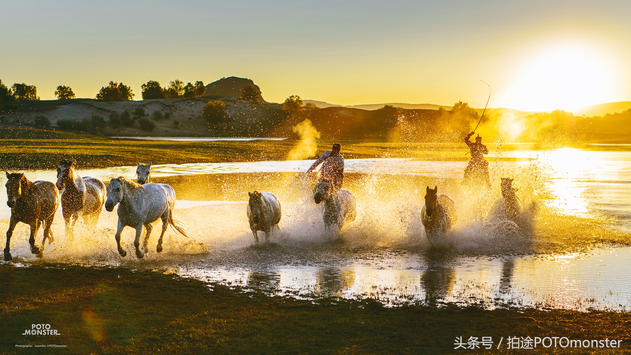 坝上草原奔马摄影作品,坝上草原拍奔马