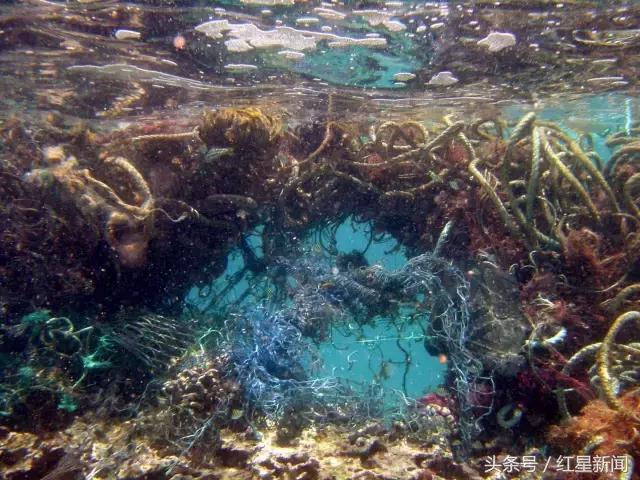 大家好，给大家介绍一下，这是你可能去的下一个国家垃圾群岛国