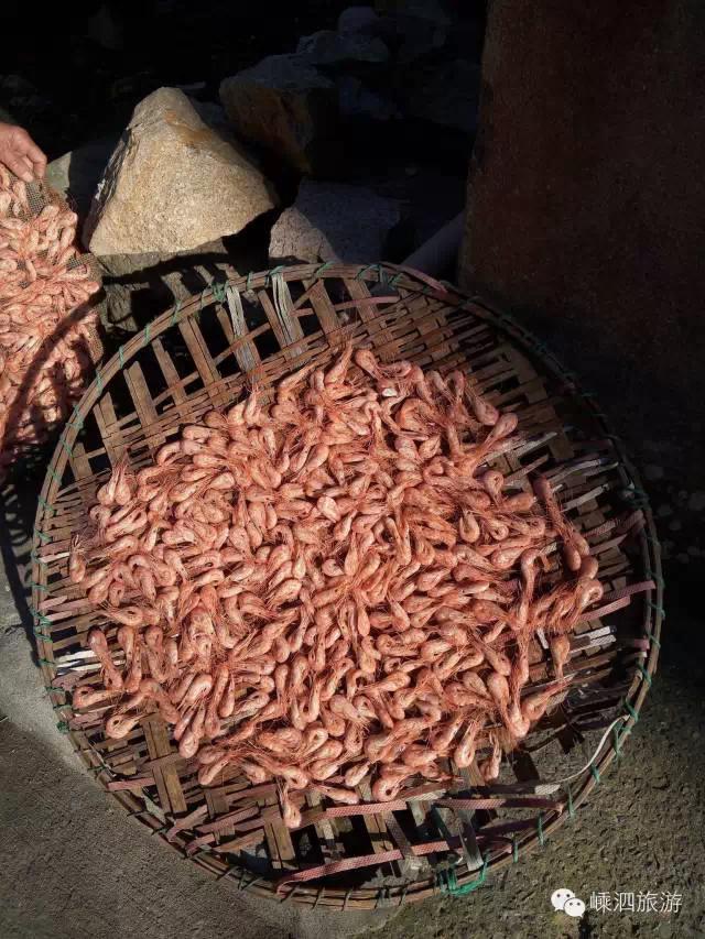 漂洋过海遇见你小说,漂洋过海遇见你原版