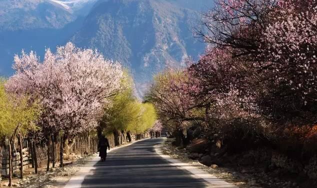 西藏林芝行一路风景如画,林芝最美小镇