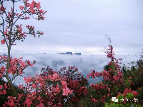 蓝田免费开放景区秋天,2022年蓝田县开放了哪些景区