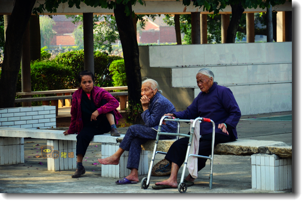 十二道锋味谢霆锋潮汕牛肉,十二道锋味隆苑咖啡谢霆锋