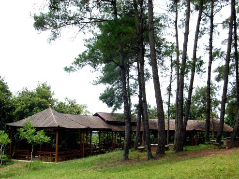 南宁适合夏天去的农家乐,南宁三塘农家乐排名前十名