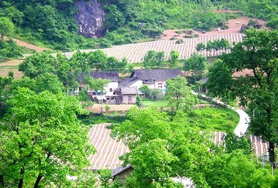 湖北大山真是美,湖北的大山风景太好看了