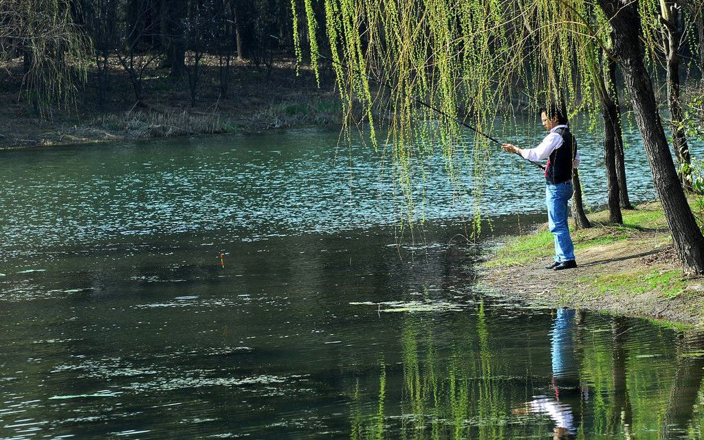 独钓静乐、群钓同乐、竞钓比乐，钓鱼的医疗保健