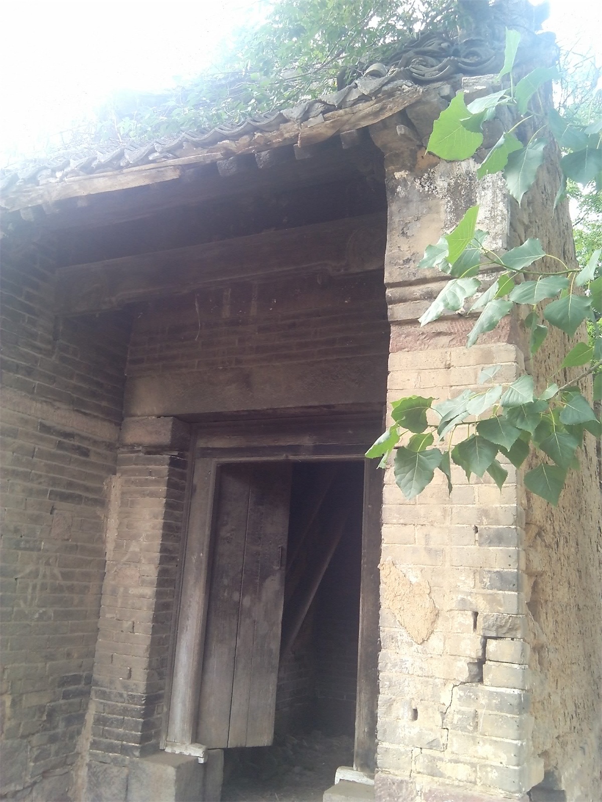 穷人捐钱的一生经典故事,穷人赚钱富人花钱的本质