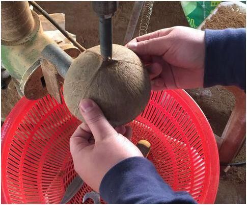 椰子壳回收价格,高价回收椰子