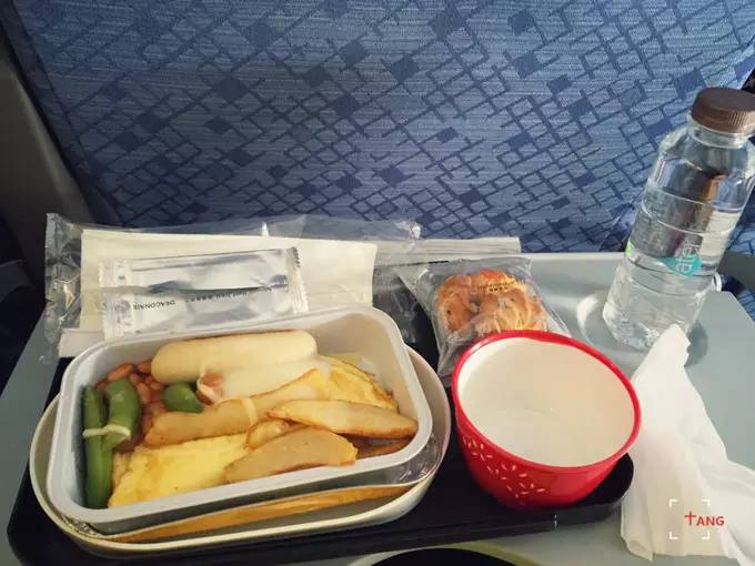 做一只治愈的猫,做一只快乐的柴犬