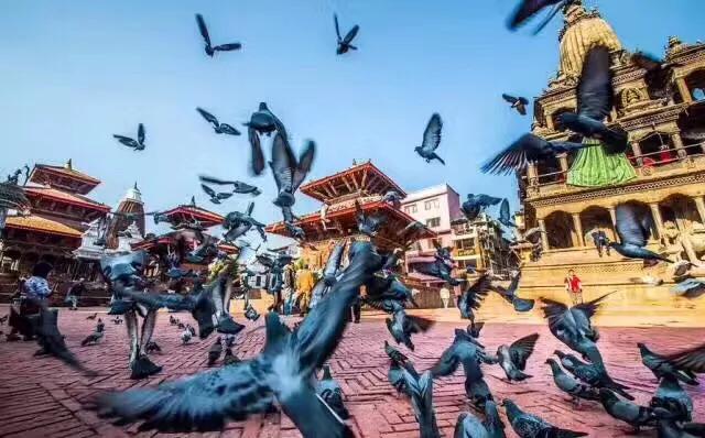 驴妈妈创始人洪清华宿松哪里人,驴妈妈洪清华完整版