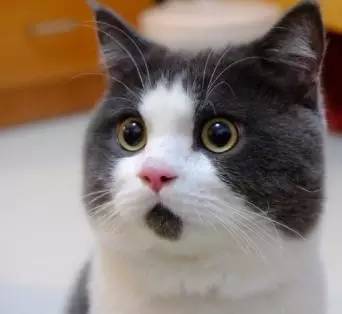 12根春卷吃出胰腺炎、黄*血金**？！春季饮食该注意啦！