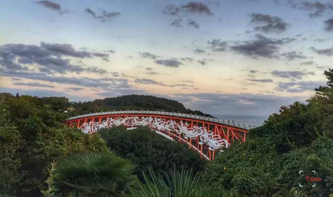做一只治愈的猫,做一只快乐的柴犬