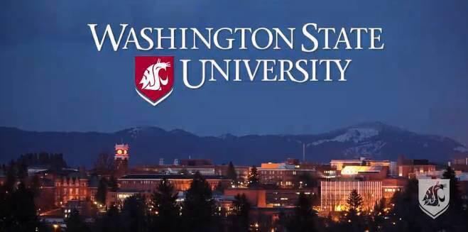 在美国顶尖会计名校就读是怎样的体验？美国大学会计专业真面目