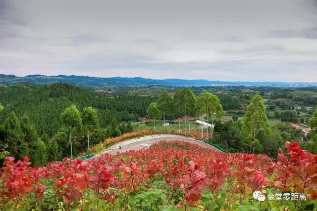 不想上班就去看看大城市,不想上班想去看山和海