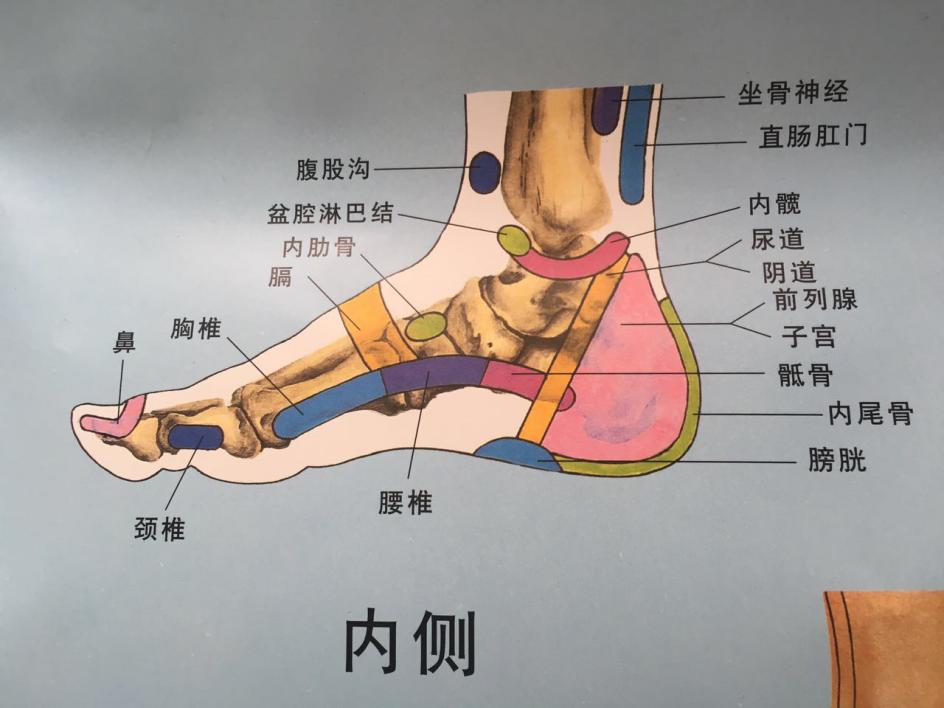 揭开数字疗法的神秘面纱,揭开神秘的面纱案例