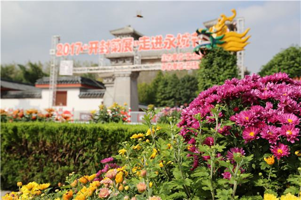 十一黄金周回顾视频,十一黄金周全集视频