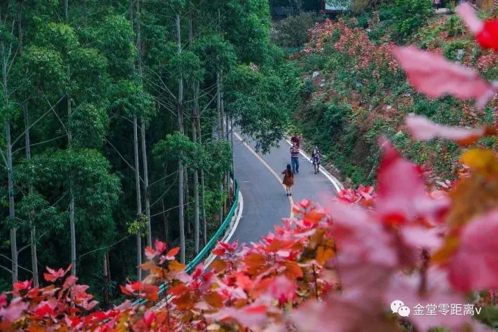 不想上班就去看看大城市,不想上班想去看山和海