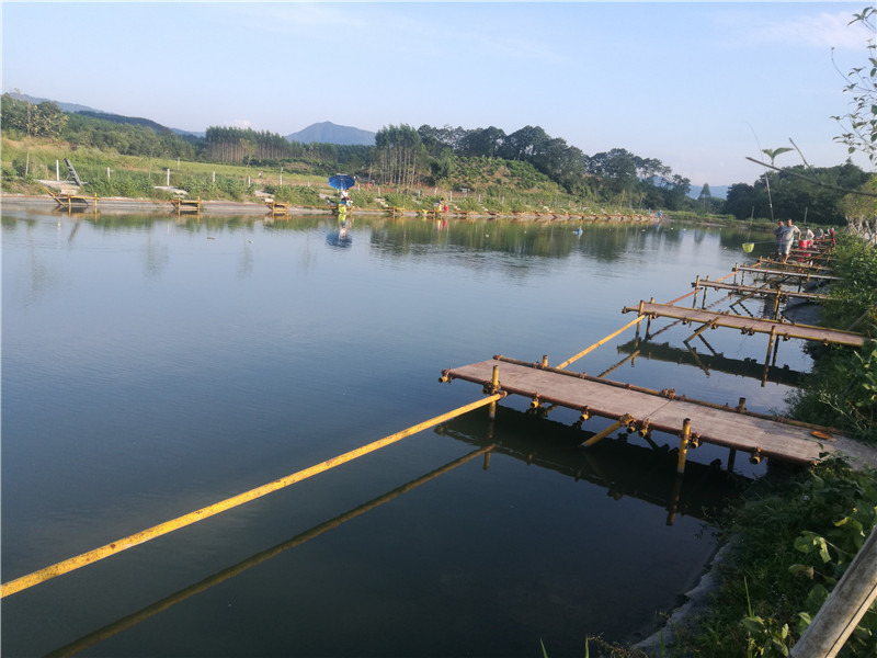 桂林象山区钓鱼黑坑,广西桂林钓鱼黑坑