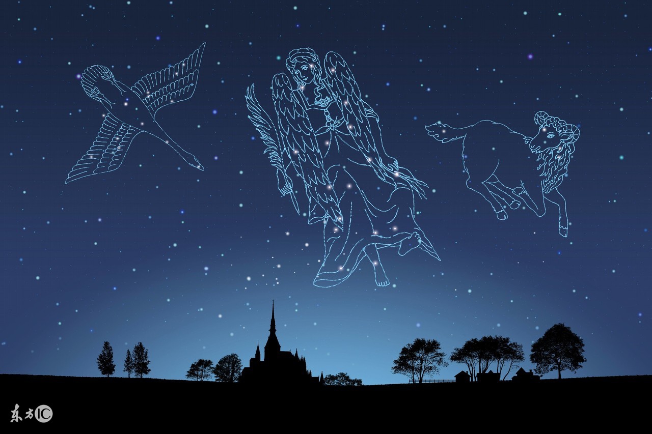 水瓶座和处女座都有什么性格特点,射手座水瓶座的心理特点分析图