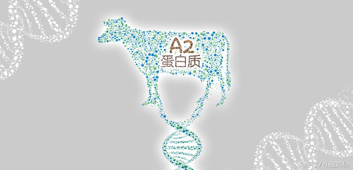 疯抢A*奶2**粉前，请先来一波科普