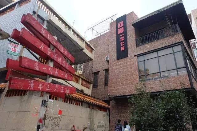 小洲玩点啥,小洲去哪玩了