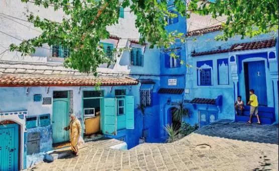 喵星人｜铲屎大大，发现一个超适合撸猫的地方……