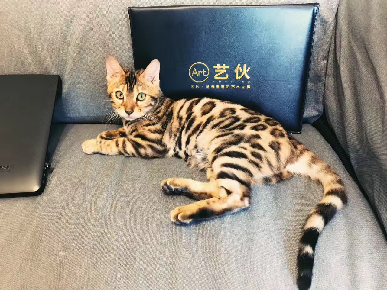 天冷了，献给水彩初学者的暖宝宝启动模式ON