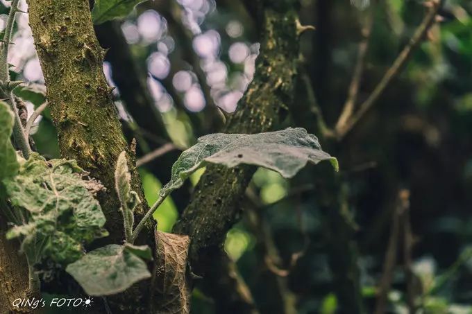 750块钱可以干什么,750块钱能干什么