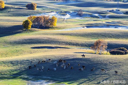 尼康d850配适马85mmf1.4art,适马小黑五代尼康d850