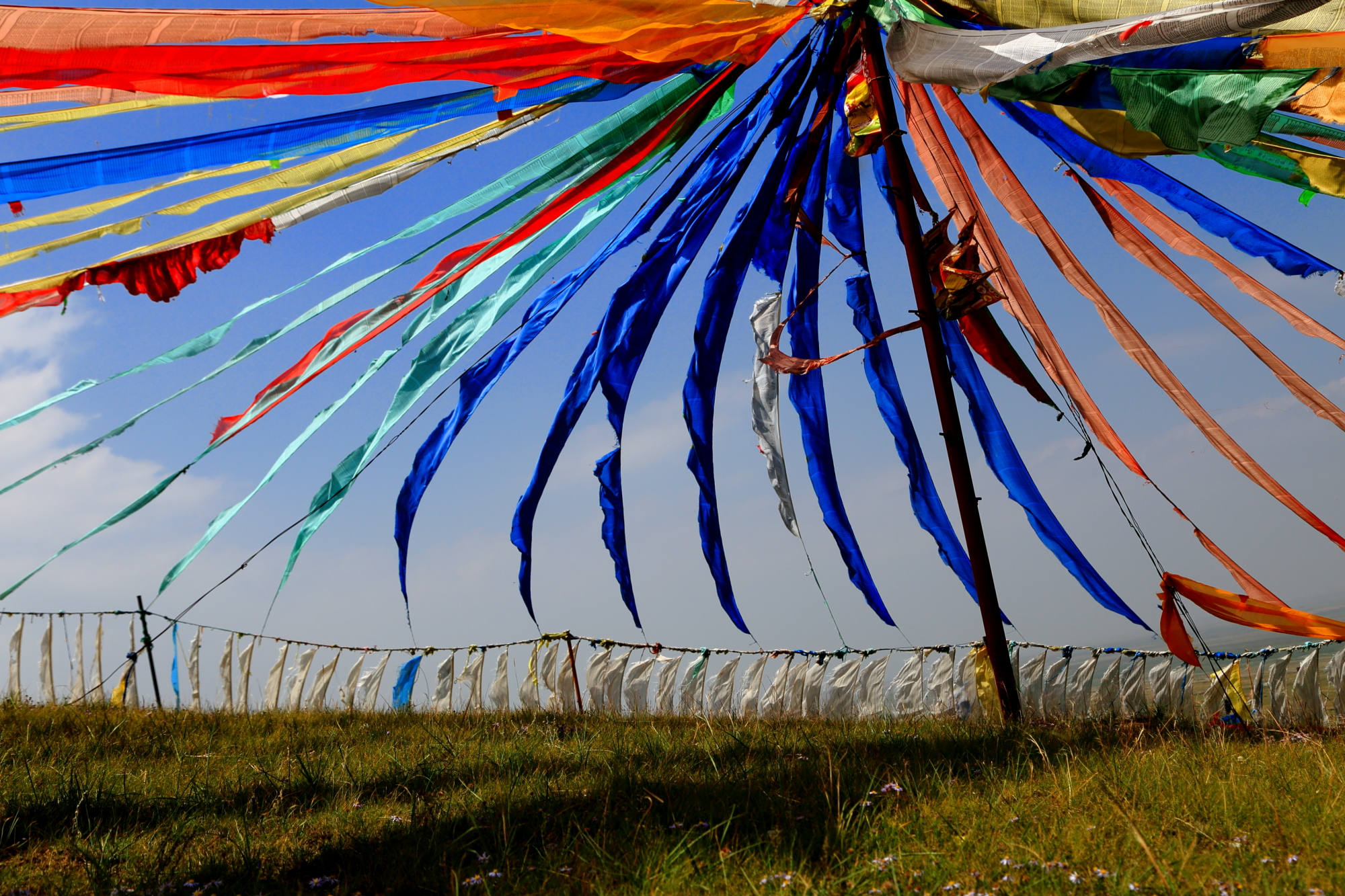 *藏西**的山石上,抱琴不愿归