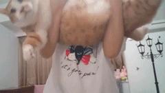 瀵圭尗鐨勮瑙ｅお娣变簡,甯︿綘鍏ㄩ潰浜嗚В姗樼尗