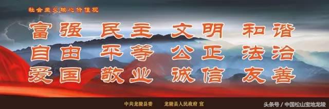 缅甸黄龙玉和龙陵黄龙玉哪个好,龙陵黄龙玉真实图片