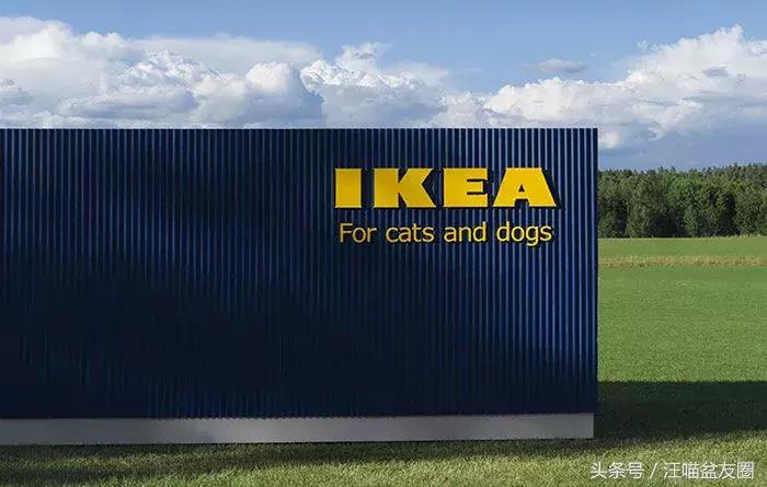 宜家宠物家具效果图,宜家的宠物家居