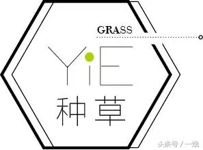 400万的鹿晗,鹿晗镜头里的关晓彤