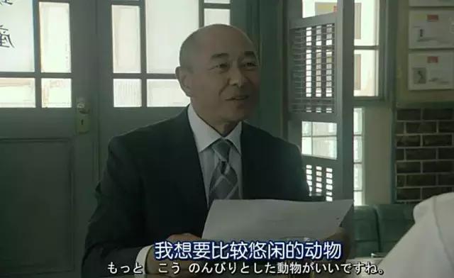 又到了熊生的十字路口，来一场cosplay吧~