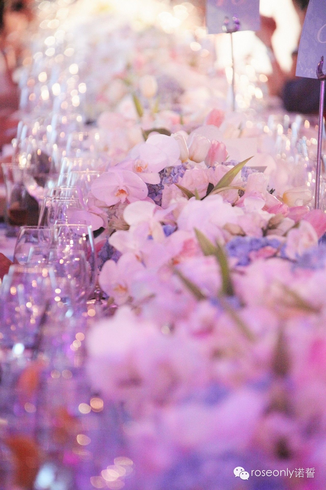 roseonly最全独家揭秘|隆诗婚礼背后每一个动人的故事