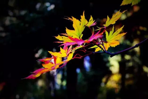 长春冬季最美拍照地,长春有一个很适合拍照的地方