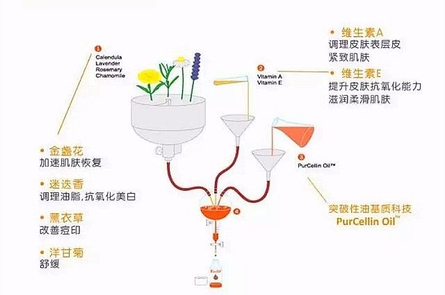 深扒热门贵妇面霜,深扒网红抗老成分真的这么有效吗