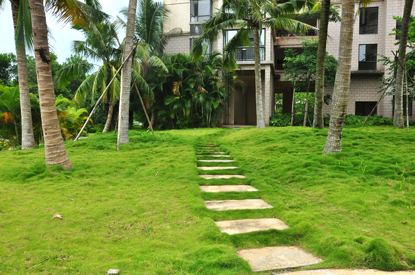 海南定安吉粮康城二手房出售,海南定安吉粮康城离海有多远