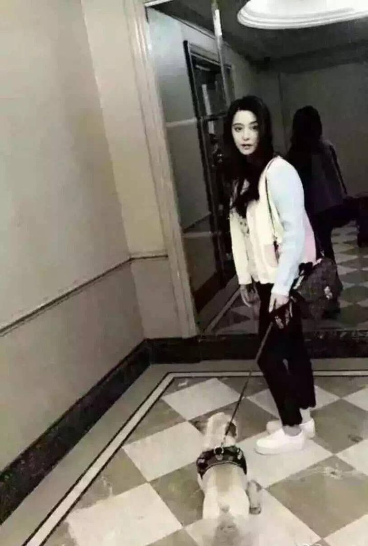 想要好看的包包,想要包包怎么包