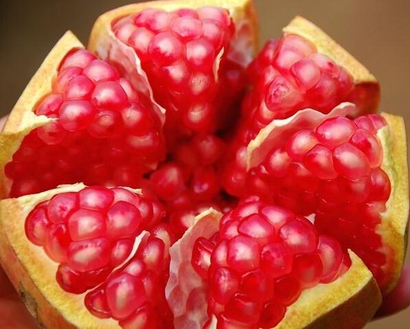 粒粒晶莹如珍珠，四大功效护健康，食之美味口水流