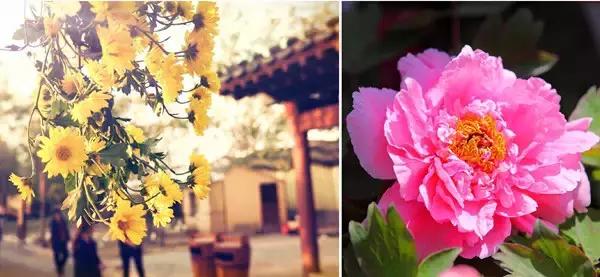 深圳高铁旅游路线分布图,深圳高铁能到达的旅游城市