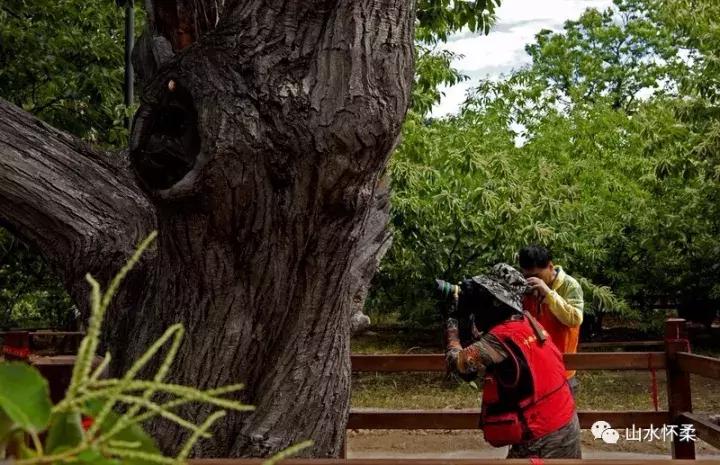 聚焦烟台黄渤海新区,聚焦烟台莱州辛庄