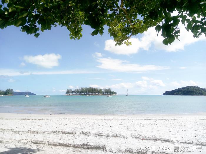 去兰卡威逗小鲨鱼，登嘉楼热浪岛浪一浪