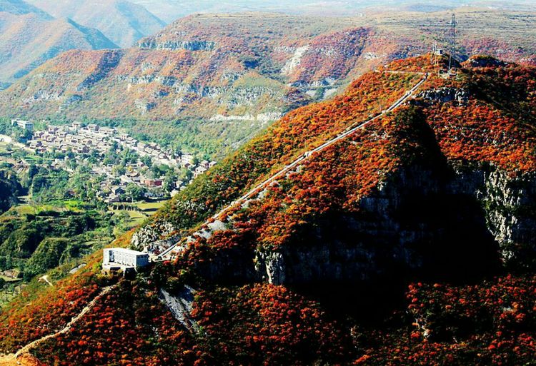 秋韵流过的晋城红